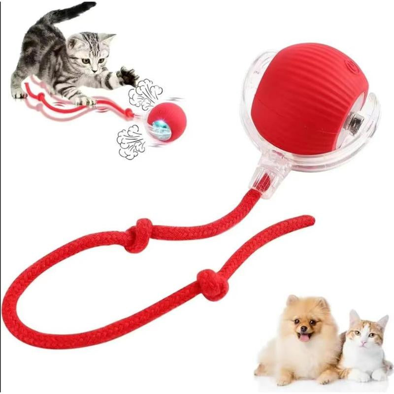 Interactive Agile Cat Ball: The Ultimate Motion-Activated Toy for Indoor Cats with Elastic Mesh Tail