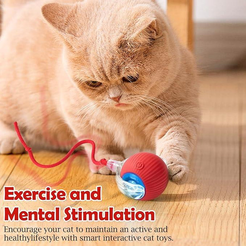 Interactive Agile Cat Ball: The Ultimate Motion-Activated Toy for Indoor Cats with Elastic Mesh Tail