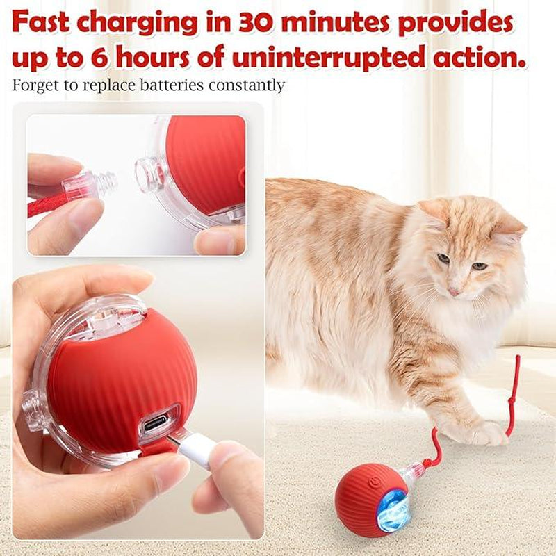Interactive Agile Cat Ball: The Ultimate Motion-Activated Toy for Indoor Cats with Elastic Mesh Tail
